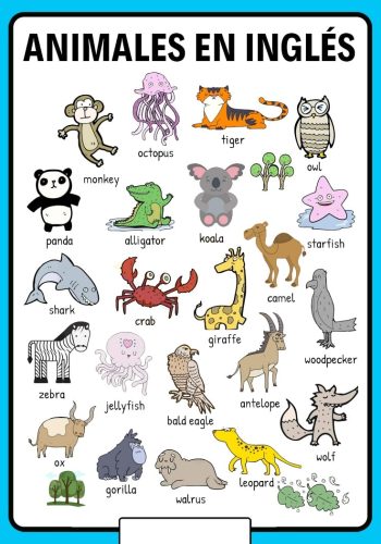 Animales en inglés 1