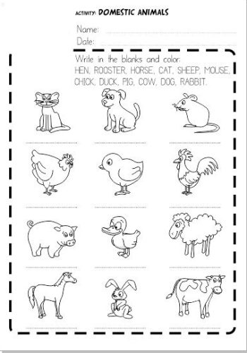 Animales en inglés 2