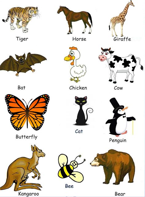 Fichas de animales en inglés para imprimir: aprende y diviértete con nuestro material descargable