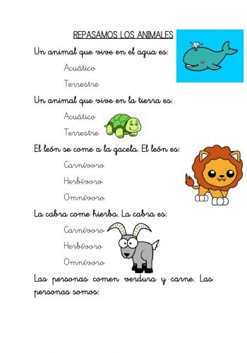 Fichas de Animales y su clasificación 2