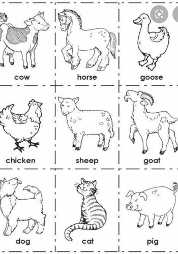 Consejos para memorizar los colores en inglés 3