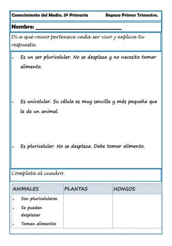 fichas de naturales 5 primaria 2