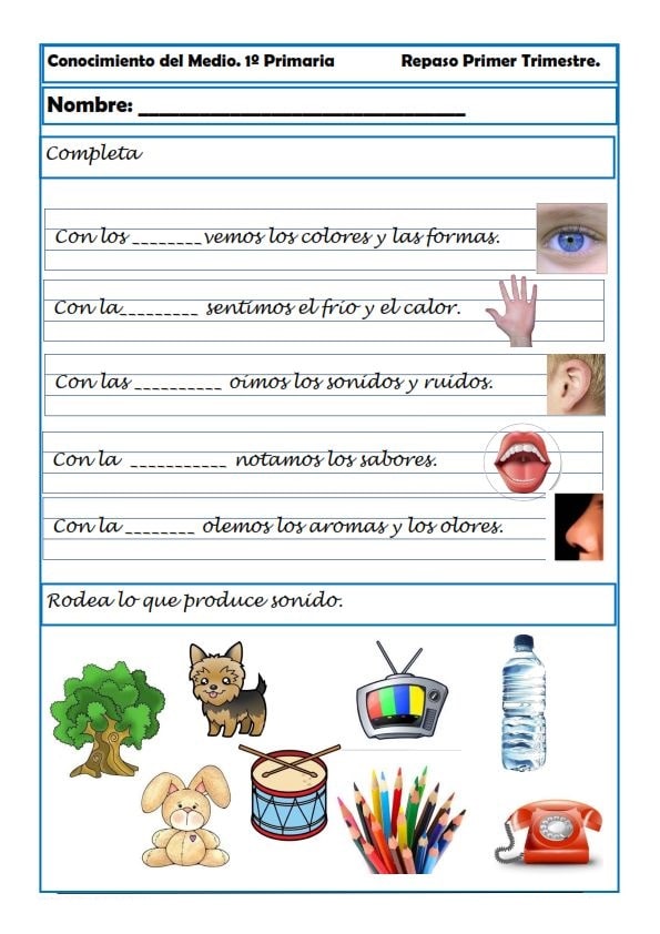 Fichas de naturales 2 primaria: Recursos didácticos para el estudio de ciencias naturales en segundo grado