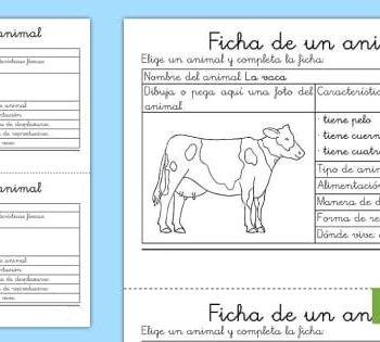 Fichas temáticas sobre animales 2
