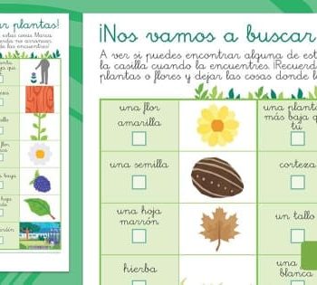 Dónde puedo encontrar fichas de plantas ornamentales 2