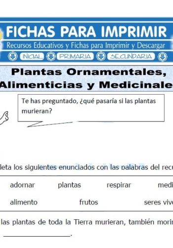 Dónde puedo encontrar fichas de plantas ornamentales 3