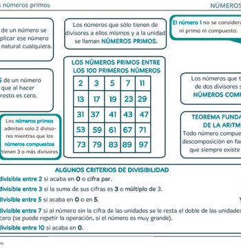 Qué son los números primos 2