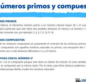 Qué son los números primos