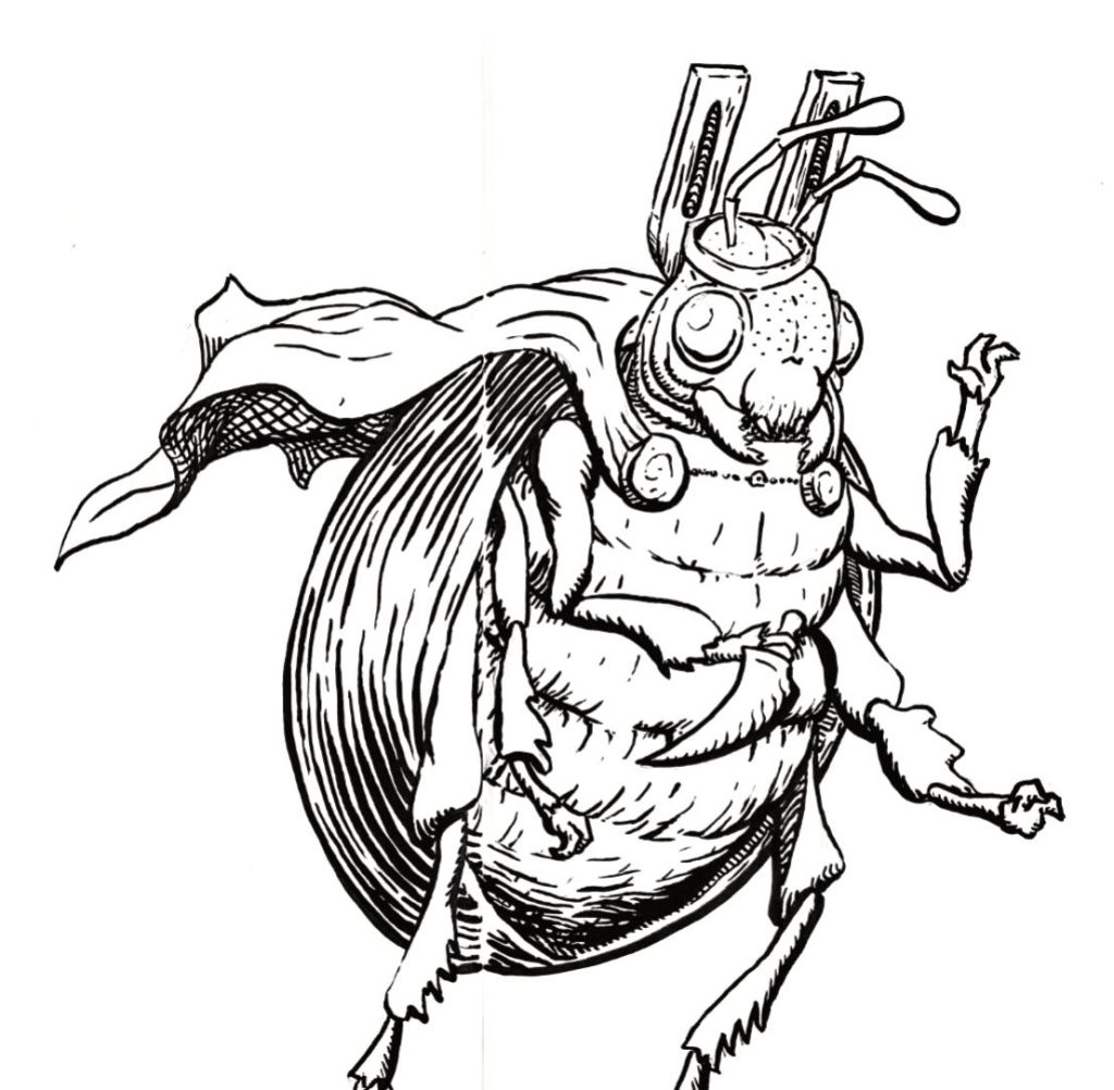 Fichas de escarabajos para escribir 2