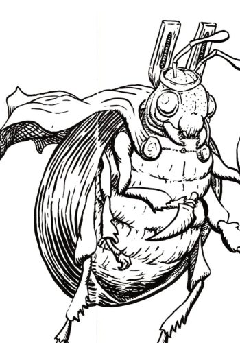 Fichas de escarabajos para escribir 2