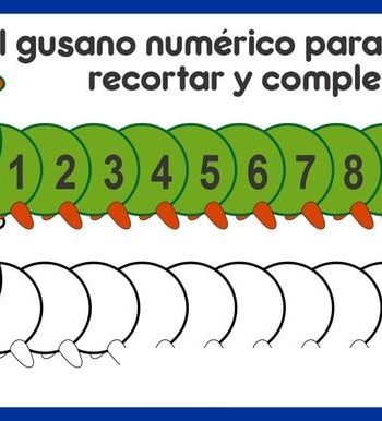 Fichas de gusanos para estudiar 2