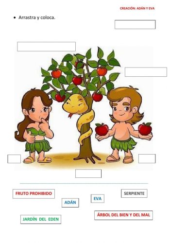 Fichas de Adán y Eva para estudiar 3