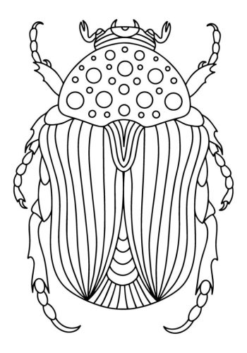 Fichas de escarabajos para colorear 3