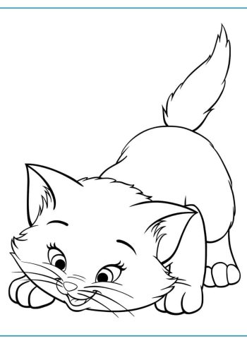 Fichas de gatos para imprimir 1