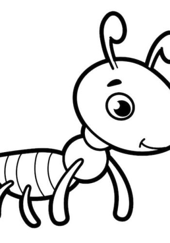 Fichas de hormigas para colorear 1