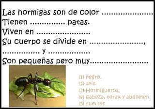 Fichas de hormigas para escribir 2