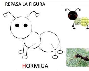 Fichas de hormigas para imprimir 1