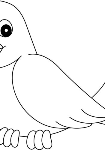 Fichas de pájaros para colorear 3