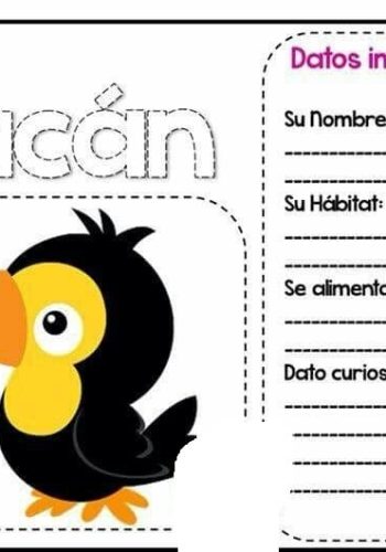 Fichas de pájaros para escribir 1