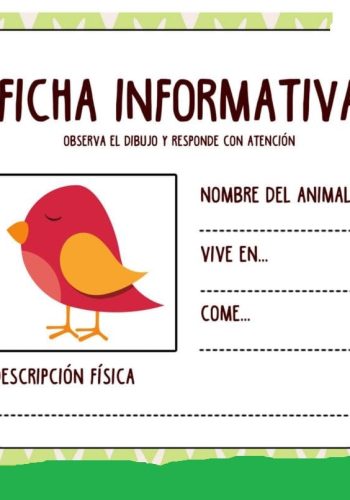 Fichas de pájaros para escribir 2