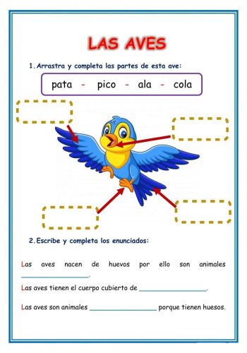 Fichas de pájaros para imprimir 2