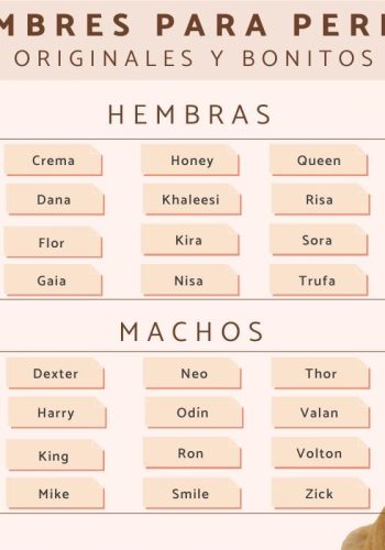 Fichas de perros para escribir 1