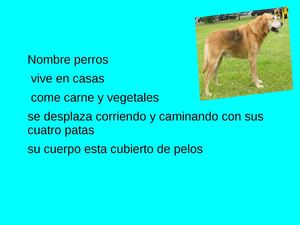 Fichas de perros para estudiar 1