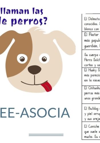 Fichas de perros para estudiar 2