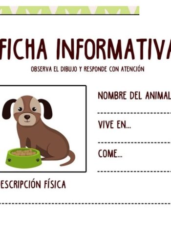 Fichas de perros para estudiar 3