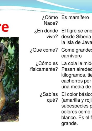 Fichas de tigres para escribir 1