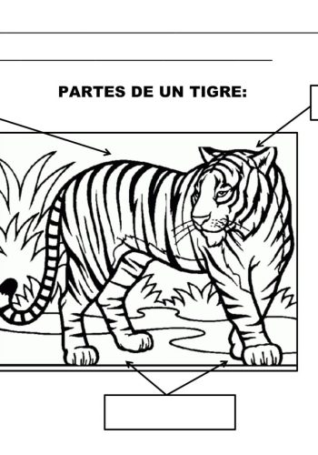 Fichas de tigres para escribir 2