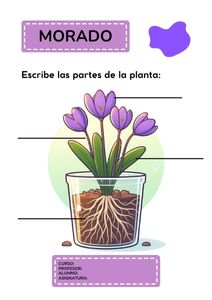 Fichas de color morado para escribir 2