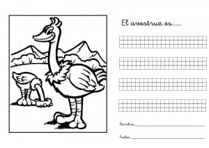 Fichas de avestruces para escribir 1
