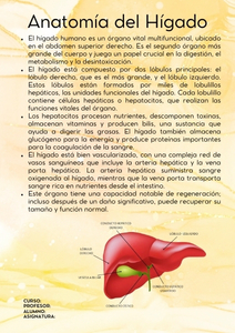 Fichas de color amarillo para estudiar 2