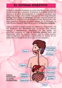 Fichas de color rosa para estudiar 1