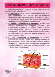 Fichas de color rosa para estudiar 2