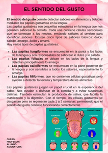 Fichas de color rosa para estudiar 3