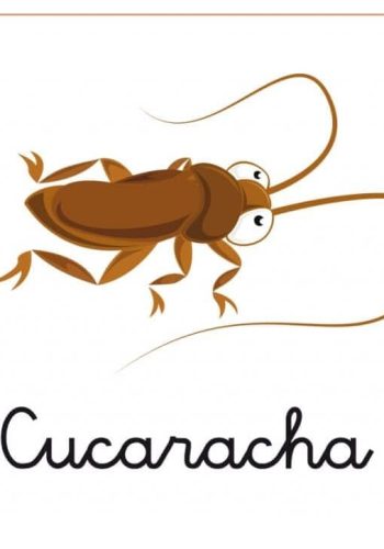 Fichas de cucarachas para imprimir 1