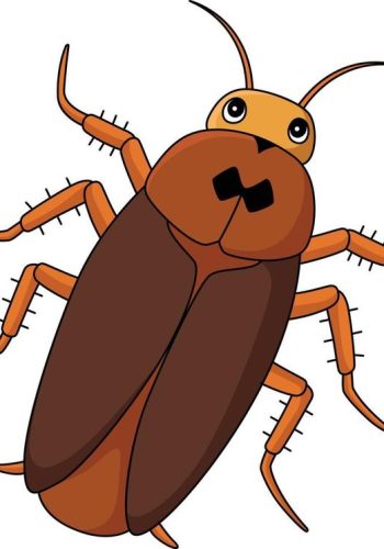 Fichas de cucarachas para imprimir 3