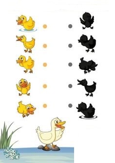 Fichas de patos para estudiar 1