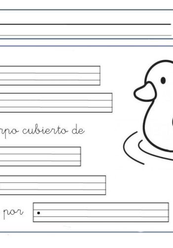 Fichas de patos para estudiar 3