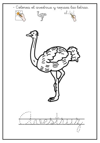 Fichas de avestruces para colorear 3