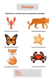 Fichas de color naranja para escribir 2