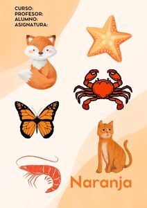 Fichas de color naranja para imprimir 3