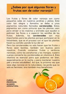 Fichas de color naranja para estudiar 1