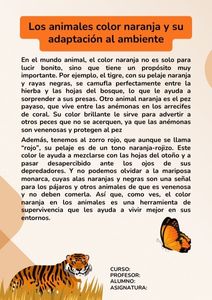 Fichas de color naranja para estudiar 2