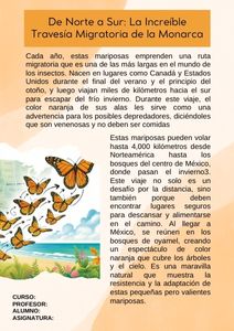 Fichas de color naranja para estudiar 3