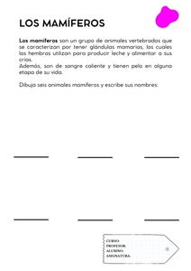 Fichas de color magenta para escribir 1