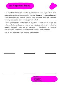 Fichas de color magenta para escribir 2