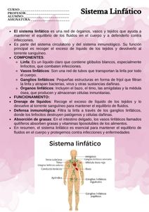 Fichas de color magenta para estudiar 1